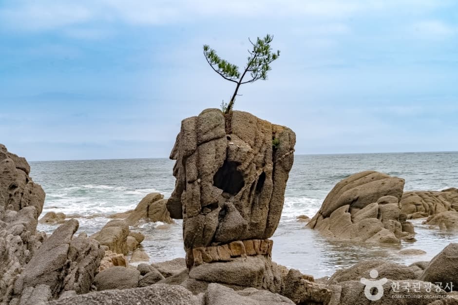 송지호해안 서낭바위 (강원평화지역 국가지질공원) 관광지 이미지