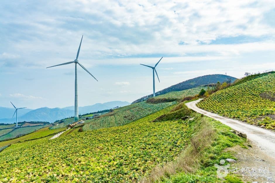 매봉산풍력발전단지(바람의 언덕) 관광지 이미지