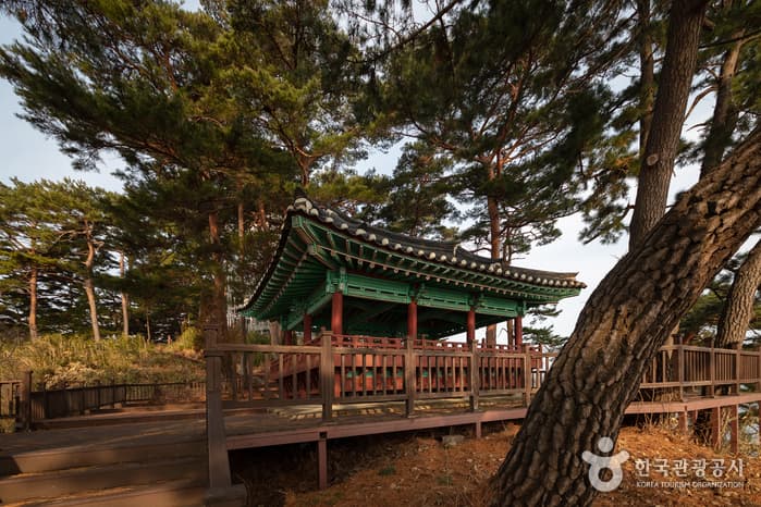 죽도정·죽도 전망대 관광지 이미지