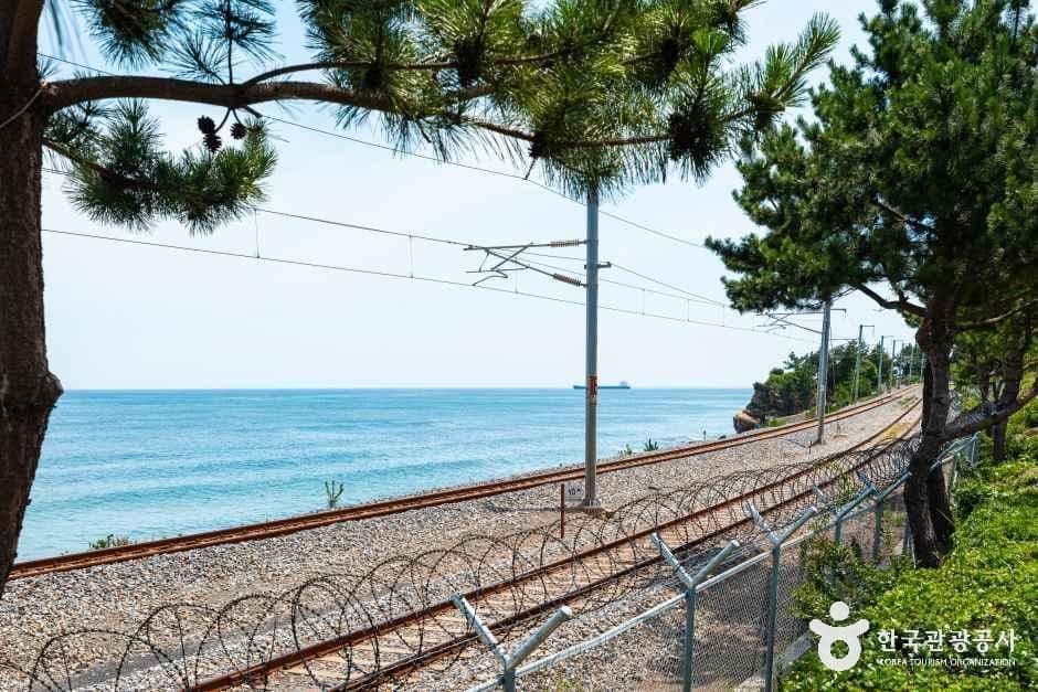 하평해변(동해) 관광지 이미지
