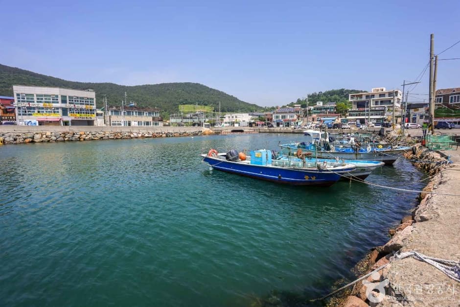 월전포구(월전방파제) 관광지 이미지
