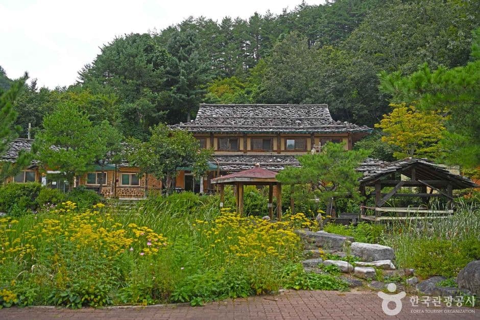 삼척 신리너와마을 관광지 이미지