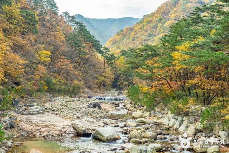 설악산 오색주전골 관광지 이미지