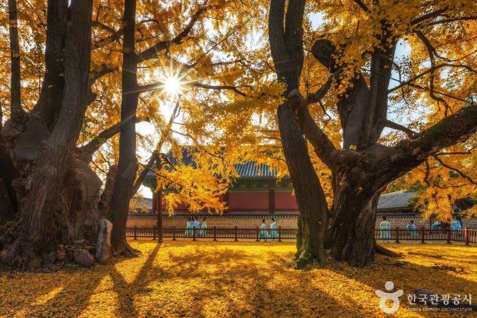 서울 문묘와 성균관 관광지 이미지