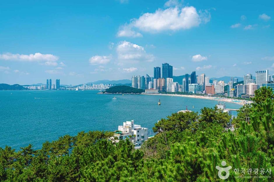 해운대 달맞이길 관광지 이미지