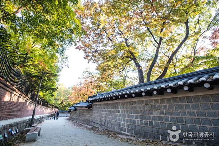 덕수궁 돌담길 관광지 이미지