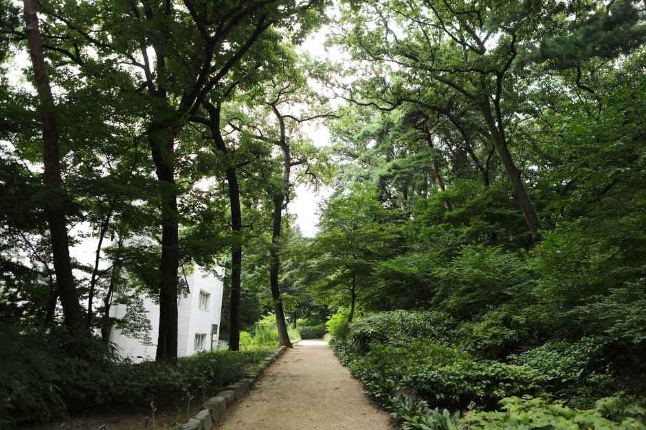 국립산림과학원(홍릉시험림) 관광지 이미지